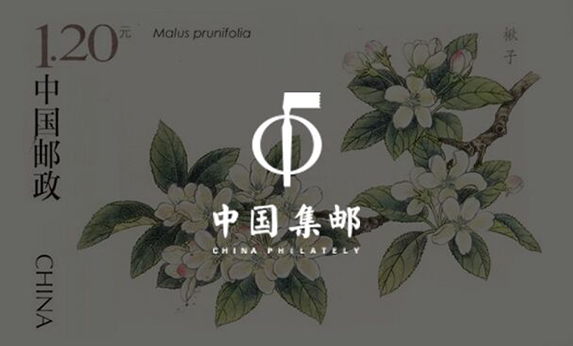 智慧博物馆-中国集邮