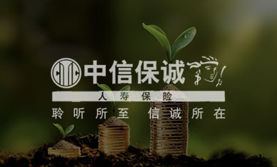 广东金融网站建设-中信保诚
