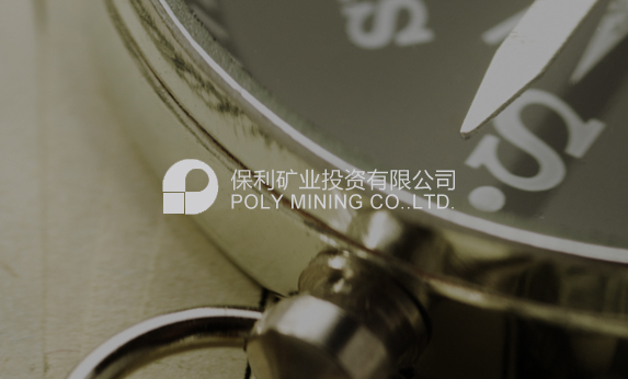 广东金融网站建设-保利矿业