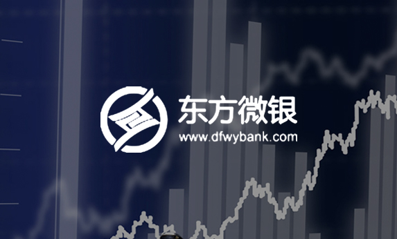 广东金融网站建设-东方微银