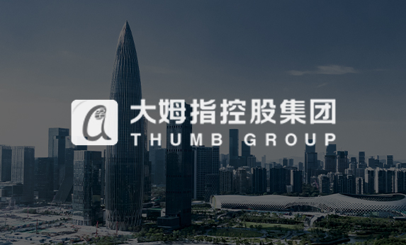 广东金融网站建设-大拇指控股