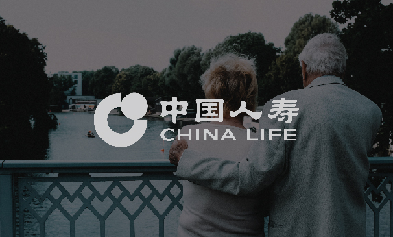 广东金融网站建设-中国人寿